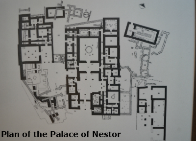 nestor14 image
